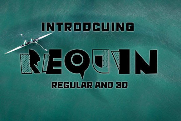 Requin: A Bold Display Font for Modern Branding